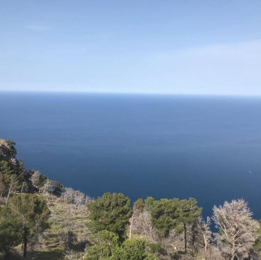 La Trinacria Mare Lägenhet Palermo Exteriör bild