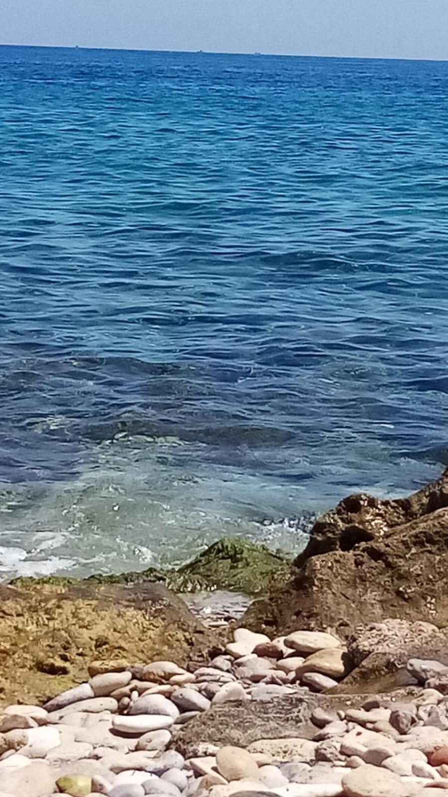 La Trinacria Mare Lägenhet Palermo Exteriör bild